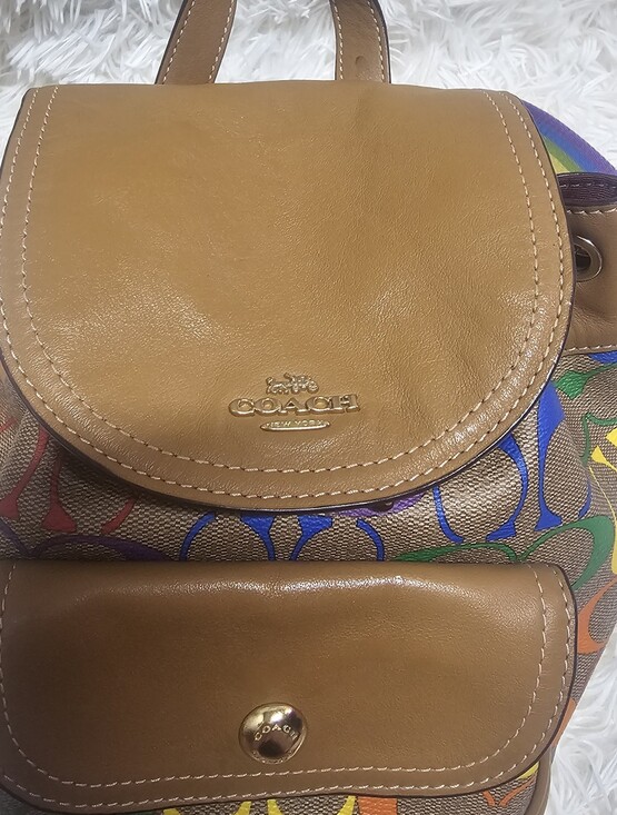 Coach EUC C4097 Pennie Backpack 22 In Rainbow Signature Canvas & Smooth Leather main image 16
